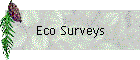 Eco Surveys