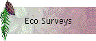 Eco Surveys