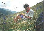 David Allen
